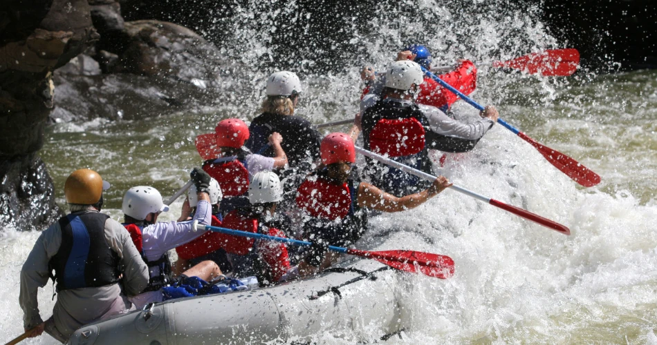 Kuwait’s Coastal Charm: A Destination Guide to the Arabian Gulf