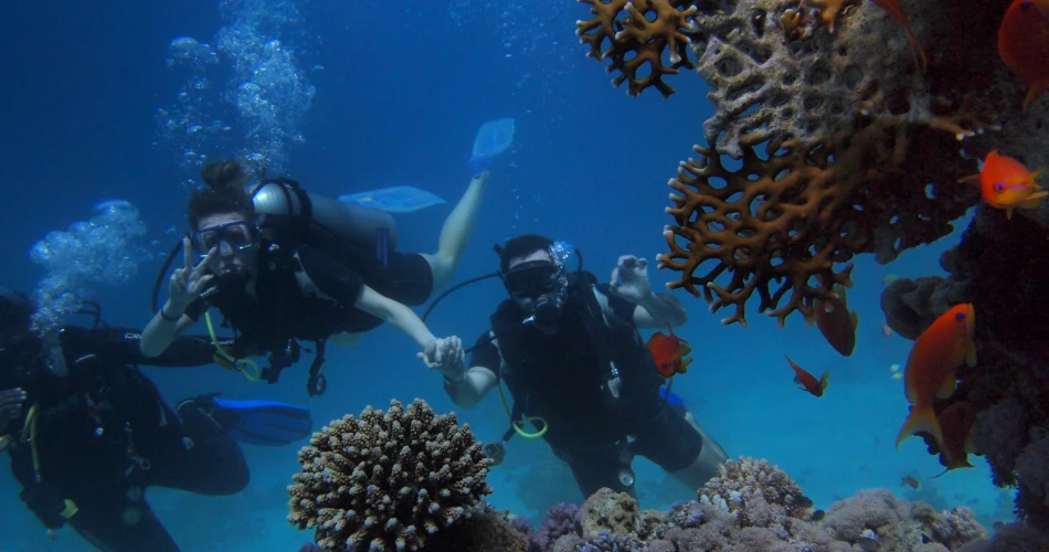 Adrenalina en el Golfo. Tours de aventura en Kuwait.